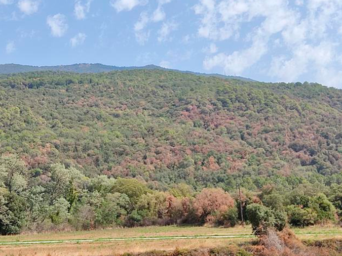 El Caliu De Castellar