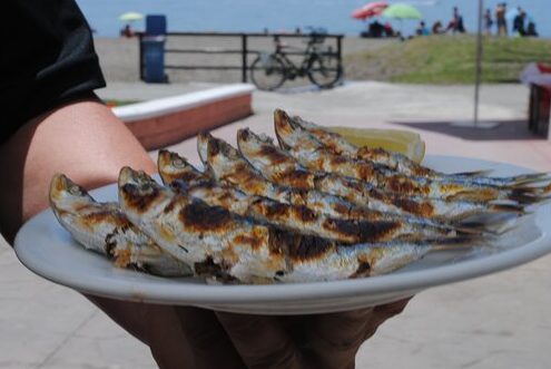 Freiduria Ma Carmen