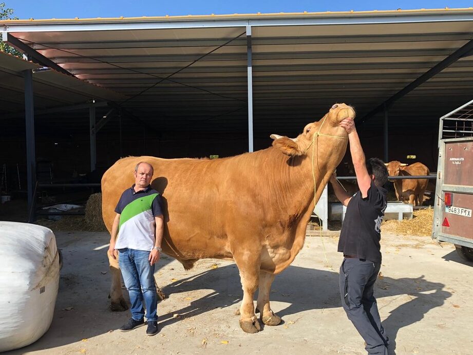 La Braseria De La Abuela Charo