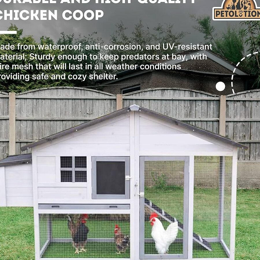 Pollería Casa El Gallo
