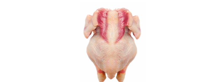 Pollos Bigote