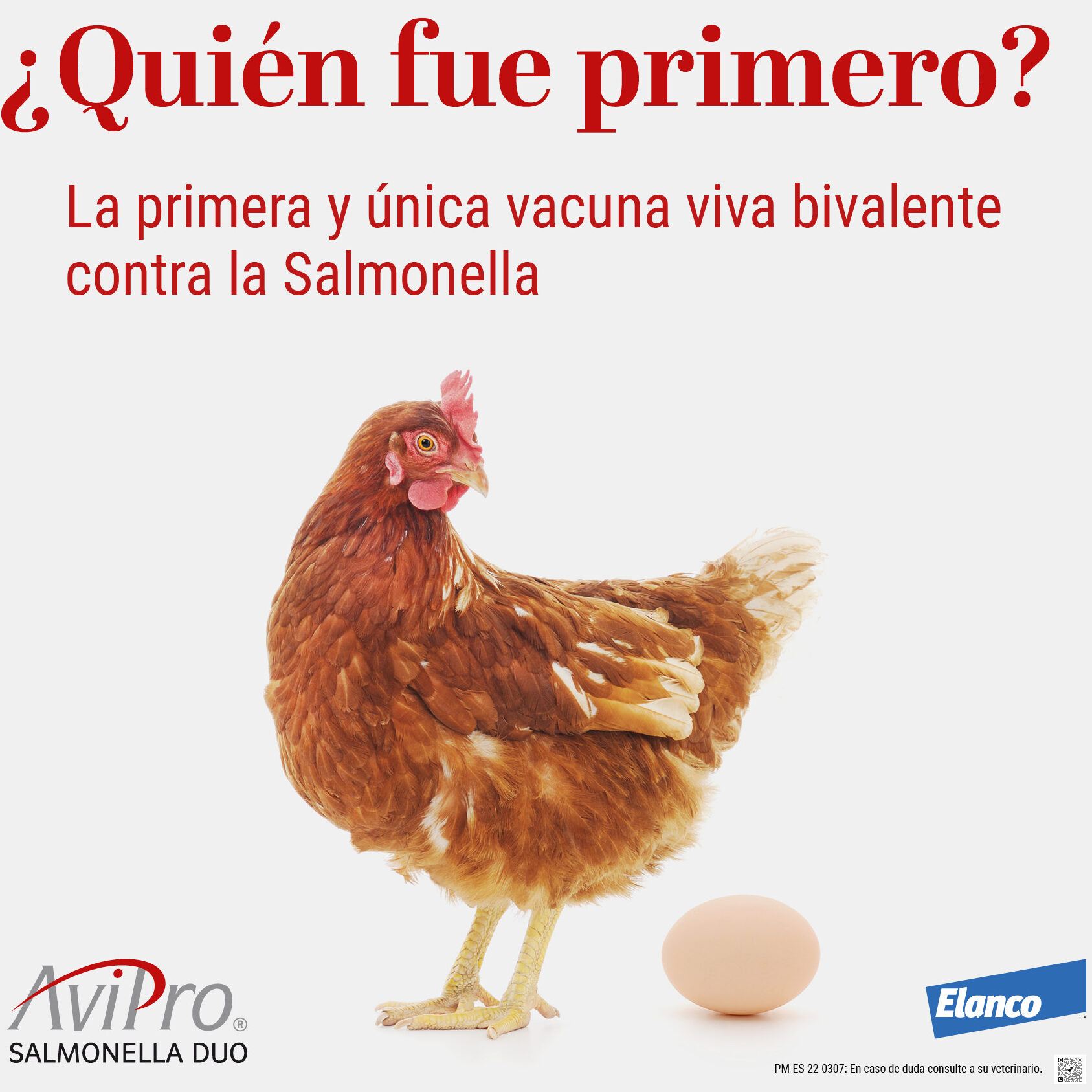 Rosticería L